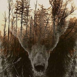 Meet your Posher, Delbert